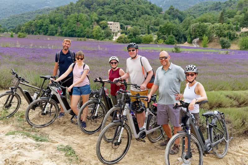 Ab Avignon: Ganztägige E-Bike-Tour in der Region Luberon
