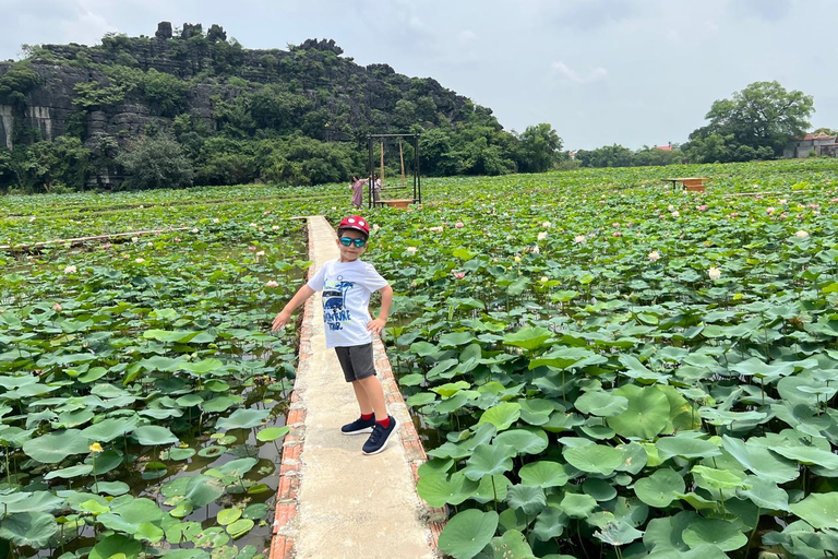 Depuis Hanoi : Ninh Binh - Trang An - Grottes de Mua - Déjeuner et busAu départ de Hanoi : Découvrez la beauté de Ninh Binh - Excursion d&#039;une journée