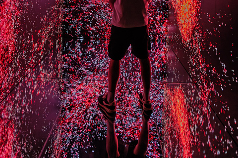 VIDENIE Immersive Art Space Entry Ticket