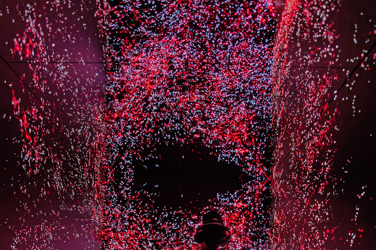 VIDENIE Immersive Art Space Entry Ticket