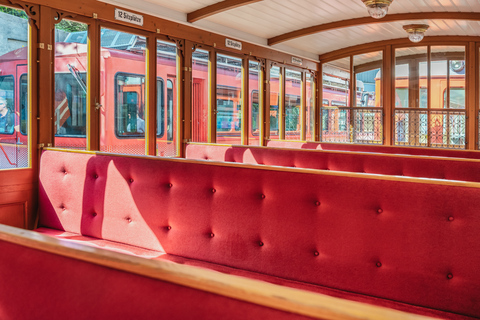 Vitznau: Train Tickets and Rigi Mineral Baths Day Ticket