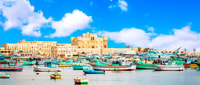 From Cairo, Private Day Tour To Alexandria - Housity