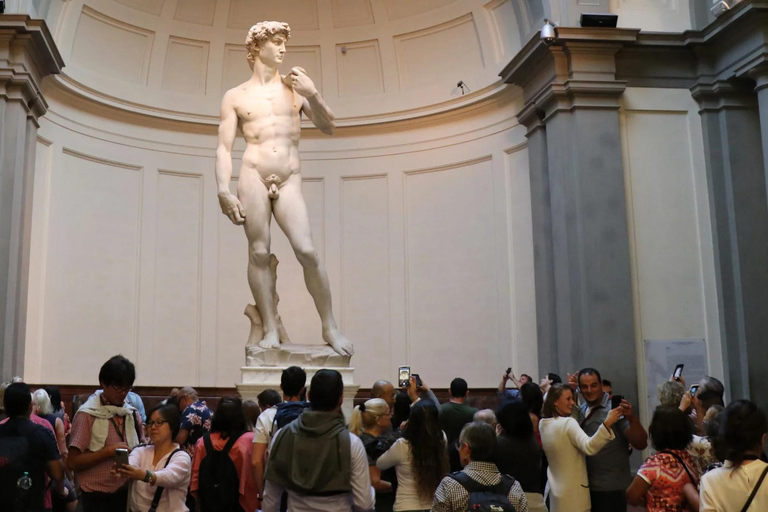 Firenze: Escursione di un giorno a Pisa e Firenze con pranzoTour per piccoli gruppi in spagnolo