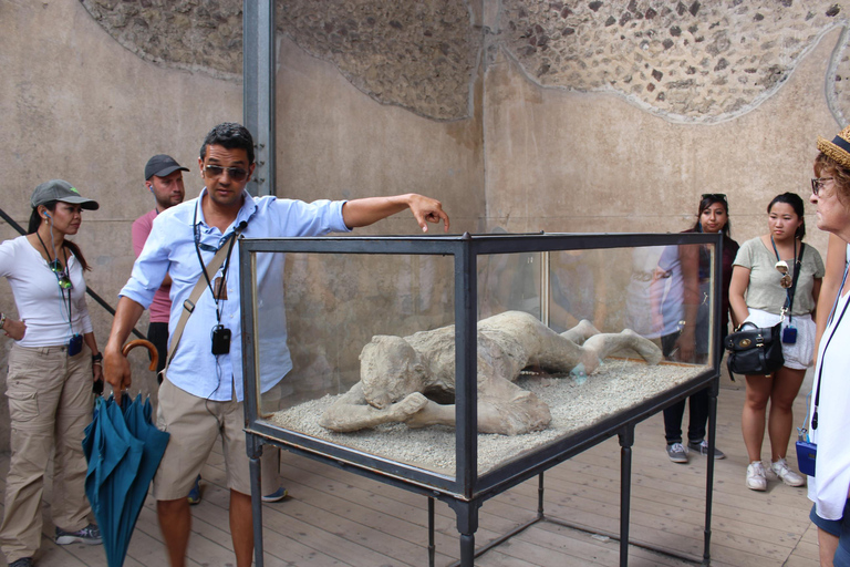 Desde Nápoles: Excursión de un día a Pompeya, Costa Amalfitana y Positano