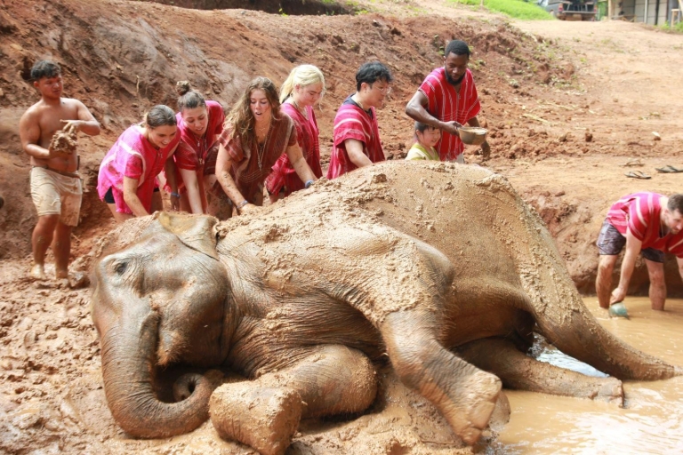 Chiang Mai: Excursión de un día completo al Parque Ecológico del Elefante Kerchor