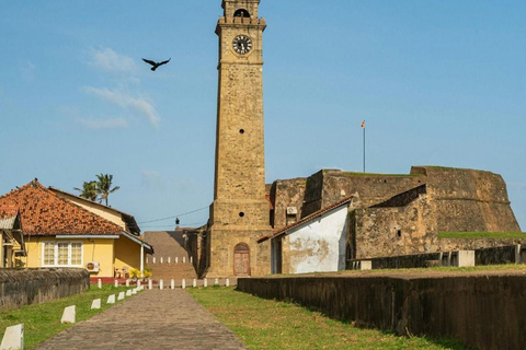 Bentota: Whale Watching, Galle Fort, & Turtle Day Tour