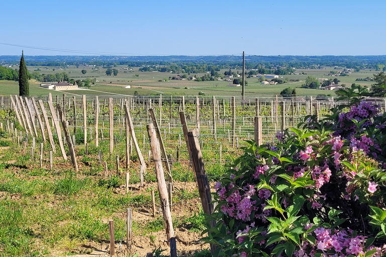 Desde Burdeos: Tour privado a Monbazillac (castillo, vino y gastronomía en Dordoña)Desde Burdeos: tour privado a Monbazillac (castillo, vino y gastronomía en Dordoña)