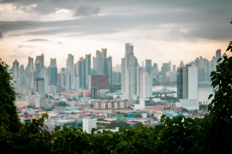 Panama City: Ancon Hill Eco-Walk with Wildlife Spotting