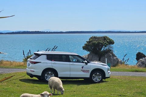 Queenstown: Private Day Trip to Lake Tekapo, Pukaki & More