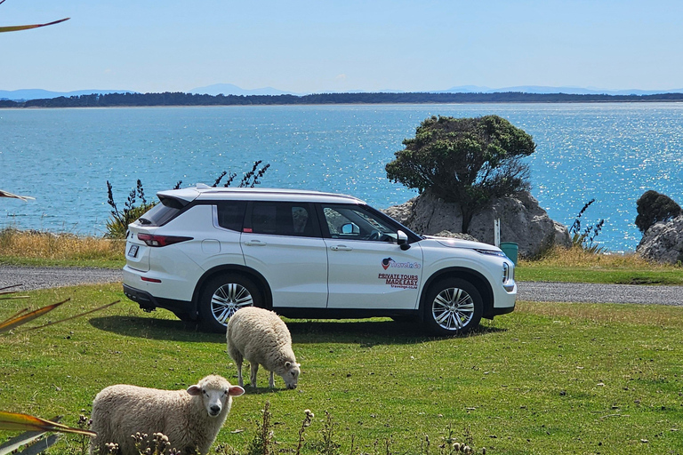 Queenstown: Private Day Trip to Lake Tekapo, Pukaki & More