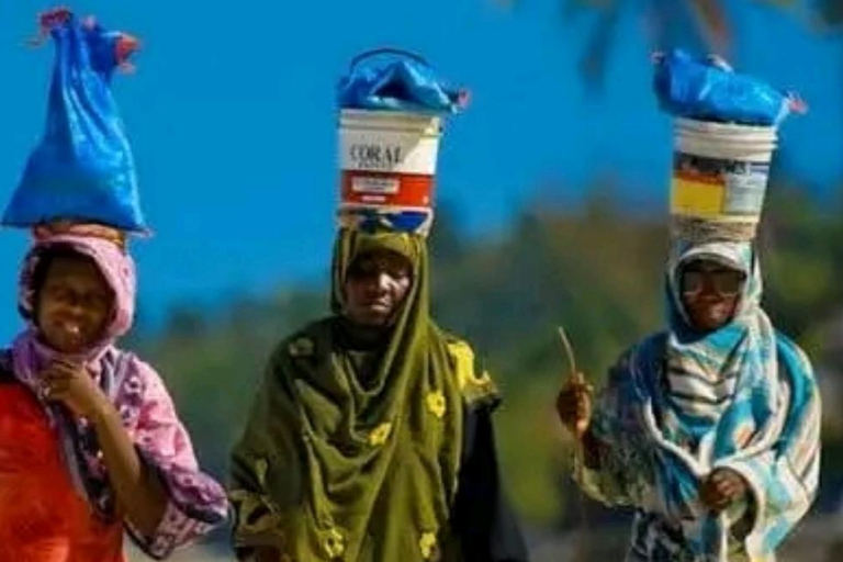 Zanzibar: Excursão aos golfinhos de Kizimkazi com natação e snorkeling