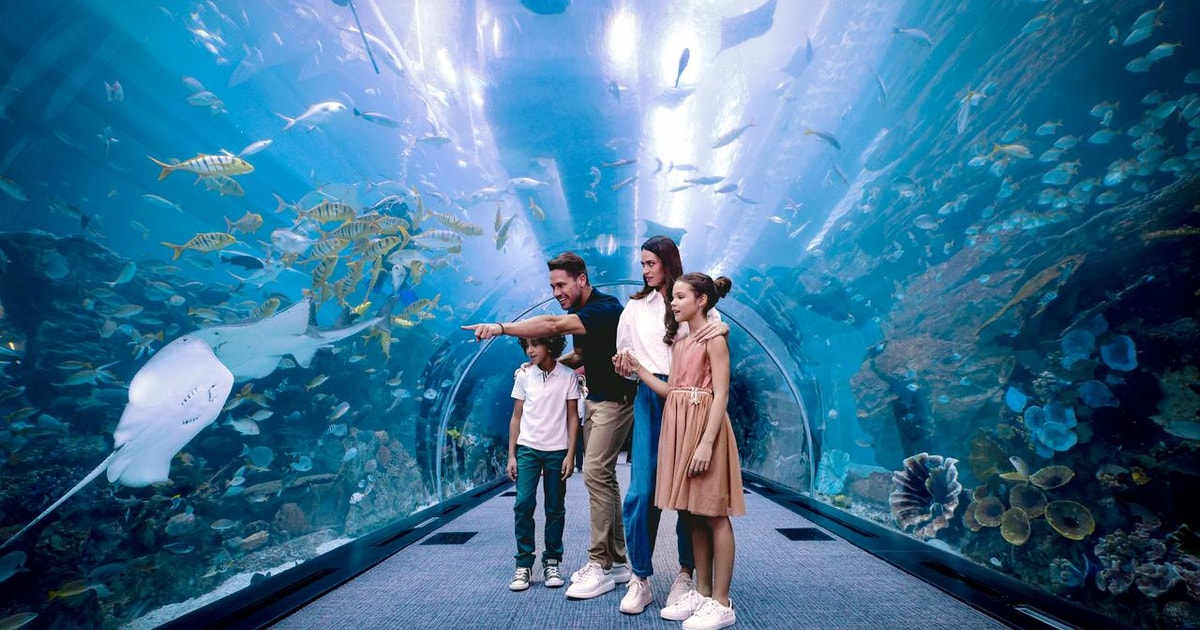 dubai-aquarium-and-underwater-zoo-entry-ticket-getyourguide