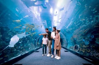 Dubai: Acquario e zoo subacqueo