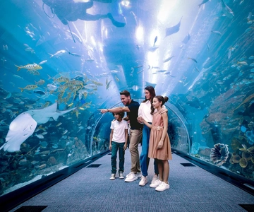 Aquarium and Underwater Zoo Experience