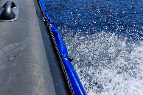 Corvo Island: Full Tour with Boat, Transfers, and Guide Corvo Island: Full Tour with Boat, Transfers, and Guide Included