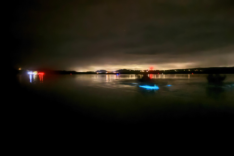 Transparent Canoe in Bioluminescent Bay in Vieques Transparent Canoe in the Bioluminescent Bay in Vieques