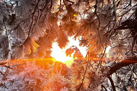 From Shanghai: Taizi Peak Stargazing and Sunrise Hike