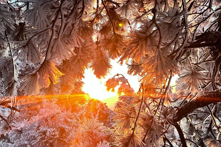 From Shanghai: Taizi Peak Stargazing and Sunrise Hike