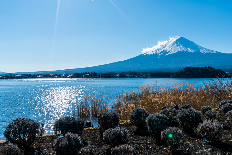 Tokyo: Mount Fuji And Hakone Private Tour Full Customizable