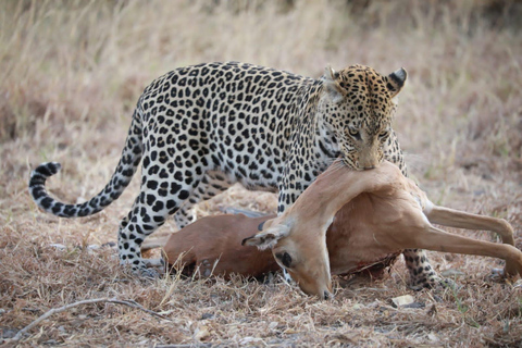 Excursión de un día a Chobe