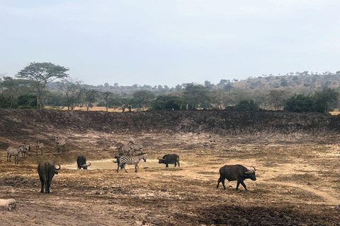 Entebbe : Parc du lac Mburo et Parc Queen Elizabeth, excursion de 3 joursEntebbe : excursion de 3 jours au parc du lac Mburo et au parc Queen Elizabeth