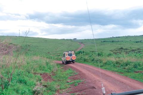 Arusha: 3-Day Private Safari Tour