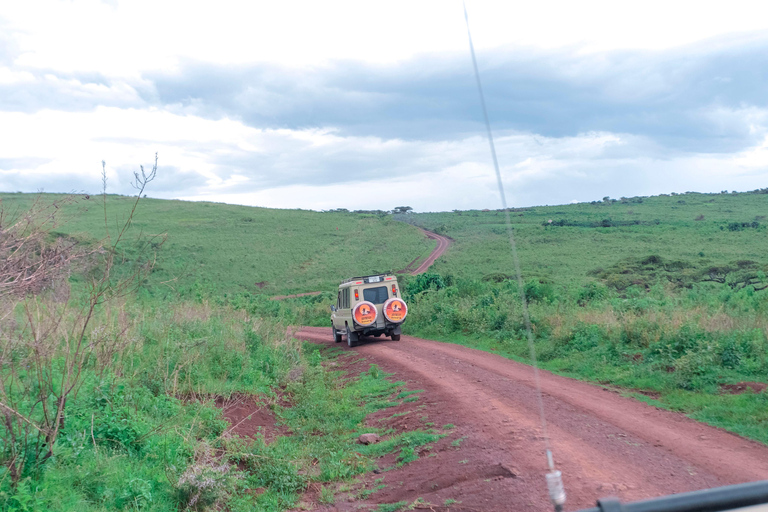 Arusha: 3-Day Private Safari Tour