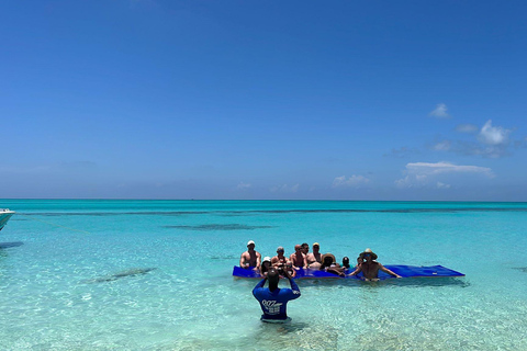 007-Mañana Todo Incluido Nadar con Cerdos en la Isla Rosa007 Todo Incluido-Nadar con cerdos en la Isla Rosa