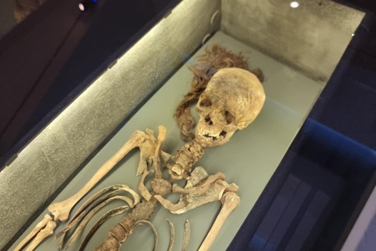 Thessaloniki: Archaeological Museum Guided Tour