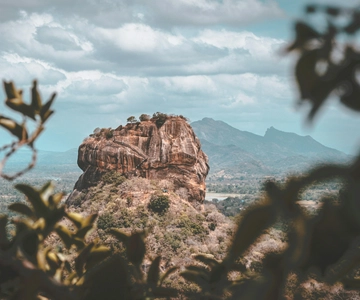 From Colombo: Sigiriya and Dambulla Day Trip and Safari