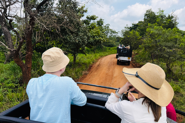 Pasikudah: Minneriya National Park Safari (half day tour)