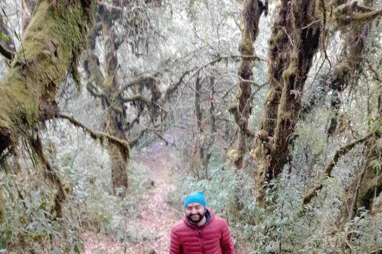 Z Pokhary: 2-dniowa wycieczka piesza na wzgórze Panchase i powrót samochodem