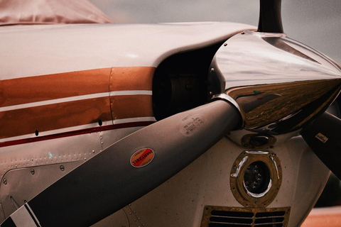 Zanzibar e Mikumi: safari di 5 giorni con volo inclusoSafari di 5 giorni con volo incluso a Zanzibar e Mikumi