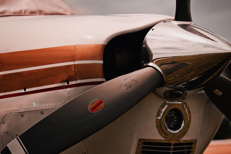 Zanzibar e Mikumi: safari di 5 giorni con volo inclusoSafari di 5 giorni con volo incluso a Zanzibar e Mikumi