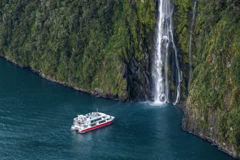 From Queenstown: Milford Sound Day Trip on Premium Coach - Image 3