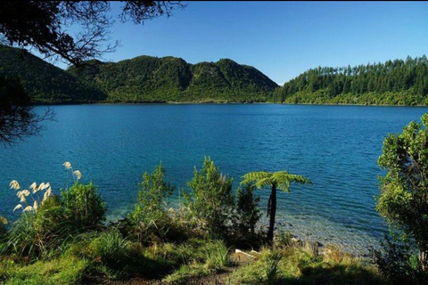 From Auckland: Rotorua Lakes, Redwood & Geothermal Day Trip