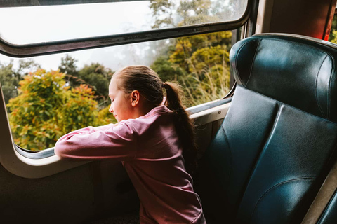 Kandy: Passeio de trem panorâmico para Ella 2ª classe Ingressos reservados