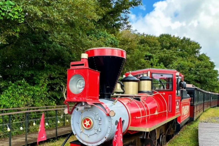 Corée, mont Hallasan, parc Echoland, train forestier et billet d&#039;entréeCorée, parc Echoland du mont Hallasan, train forestier et billet d&#039;entrée