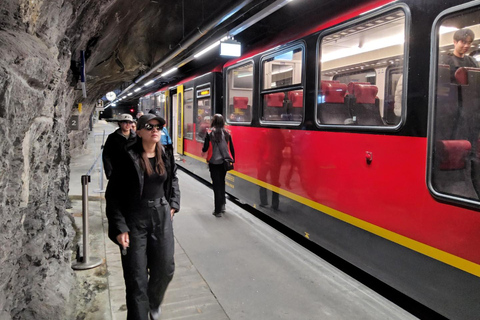 Day Trip from Zurich to Jungfraujoch - Top of Europe