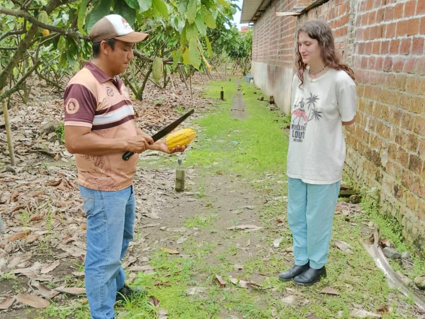 Guayaquil Cloud forest and cocoa farm tour & Lunch GetYourGuide