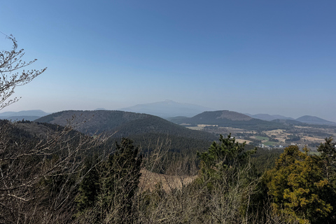 Jeju Geumun-oreum Volcanic Crater Hiking
