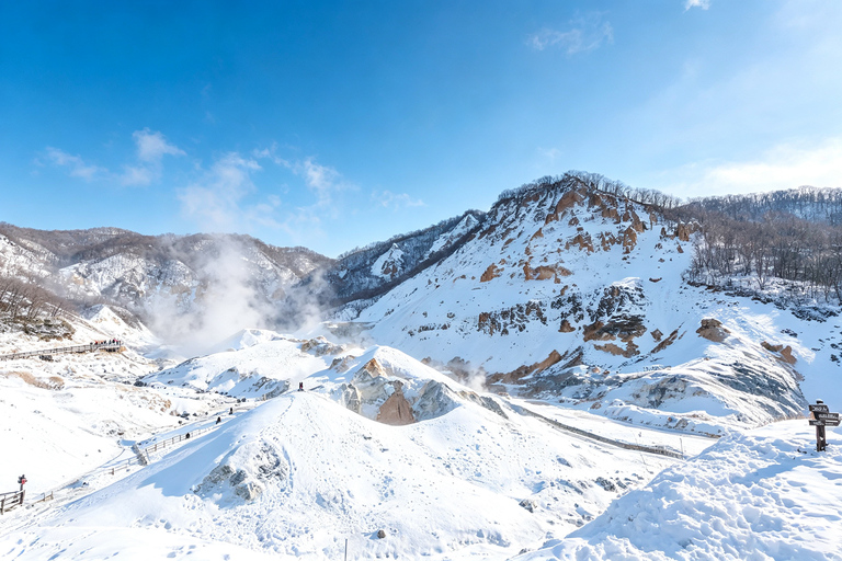Sapporo: Lake Shikotsu Ice Festival, Noboribetsu & Lake Toya Private Sightseeing Tours