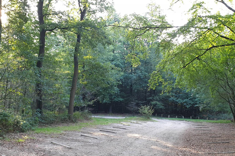 Utrechtse Heuvelrug National Park: Private day trip