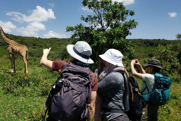 Arusha: viagem de 1 dia ao Parque Nacional com excursão a péArusha: Viagem de 1 dia ao Parque Nacional com excursão a pé