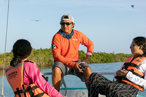Holbox: Swimming with Wild Whale Sharks Boat Trip