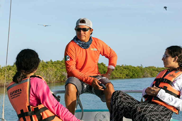 Holbox: Swimming with Wild Whale Sharks Boat Trip