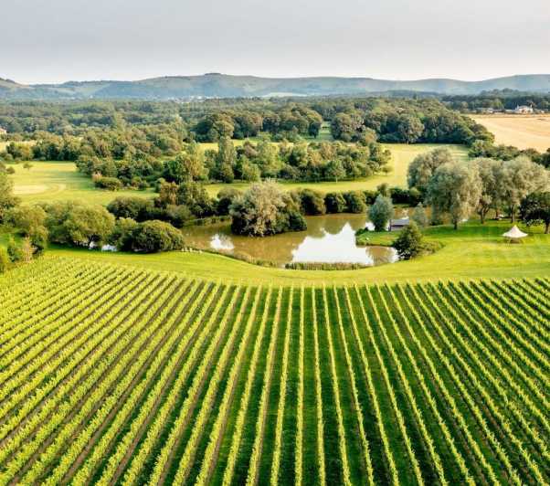 Albourne Estate: Wine Tasting and South Downs eBiking