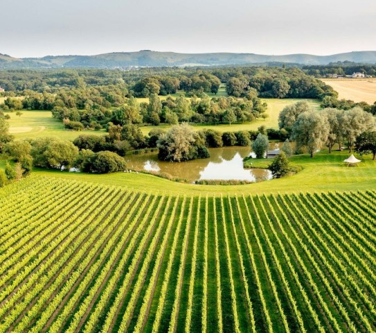 Visit Albourne Estate Wine Tasting and Downs eBiking £95pp in Arundel, West Sussex, UK