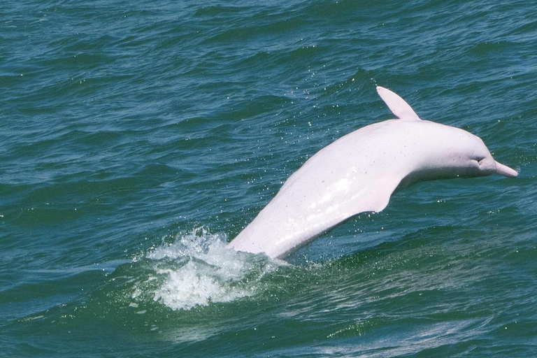 Hong Kong:Lantau Island Private Tour with Cable Car & Pickup Hong Kong:Private Lantau Tour with Crystal Cable Car&Pickup