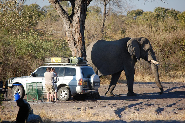 Från Zanzibar: Selous Game Reserve Dagsafari med flyg